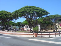 Plaza Dorado